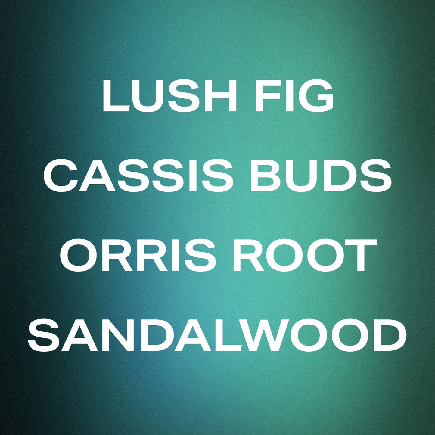 Best Sellers Trio - 100mL Eau de Parfums