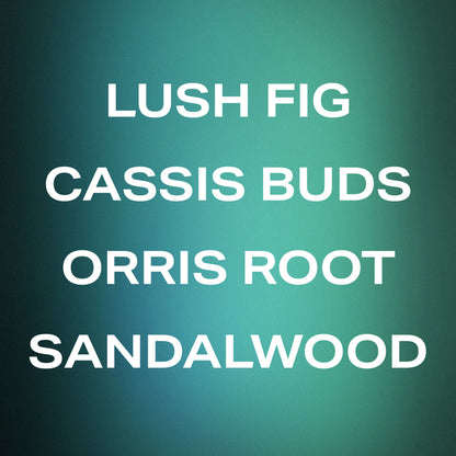 Best Sellers Trio - 100mL Eau de Parfums