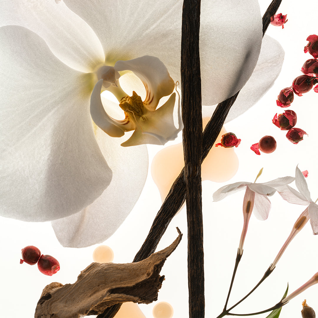 Vanilla Skin - Daily Ritual Duo